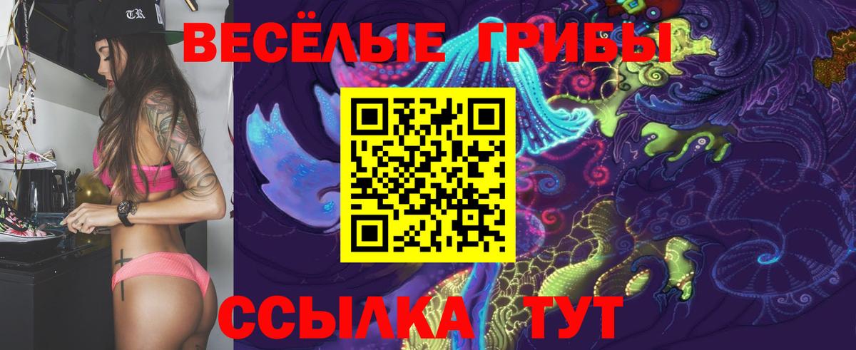 Чебаркуль  Псилоцибиновые грибы прущие грибы  Вход с VPN 